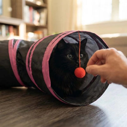 Chat tunnel dans le salon