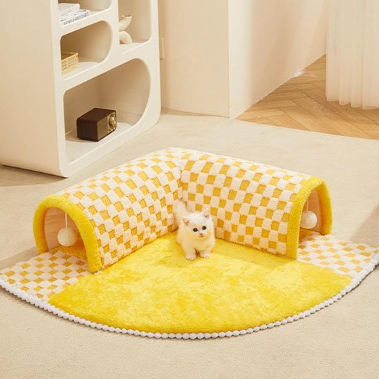 Chaton blanc dans un tunnel du chat