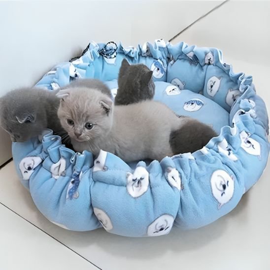 Trois chatons gris et beiges apaisés dans un coussin à chat de couleur bleu