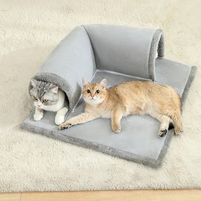 Chats allongés dans un tunnel pour chat