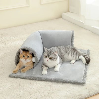 Chats reposent dans un tunnel pour chat