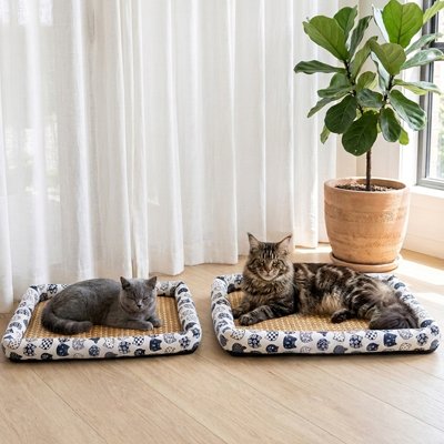 Deux chats se relaxent sur tapis rafraichissant chat devant une fenêtre avec des rideaux blancs. Une plante verte