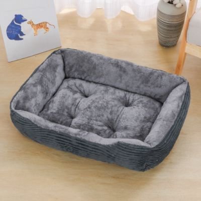 Coussin à chat gris sur plancher en bois