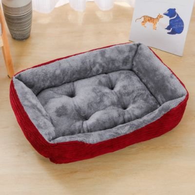 Coussin à chat rouge sur plancher en bois