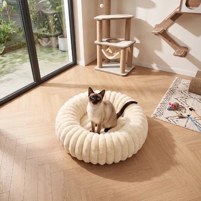 Coussin chat de couleur beige avec chat dedans