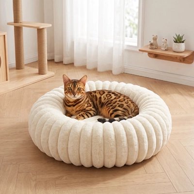 Coussin chat de couleur beige dans un salon