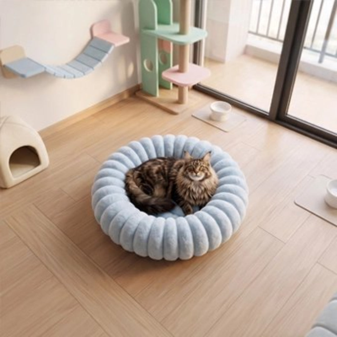 Coussin chat de couleur bleu avec un chat dedans