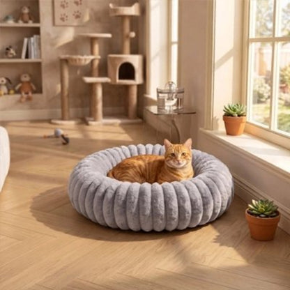 Coussin chat de couleur gris dans un salon