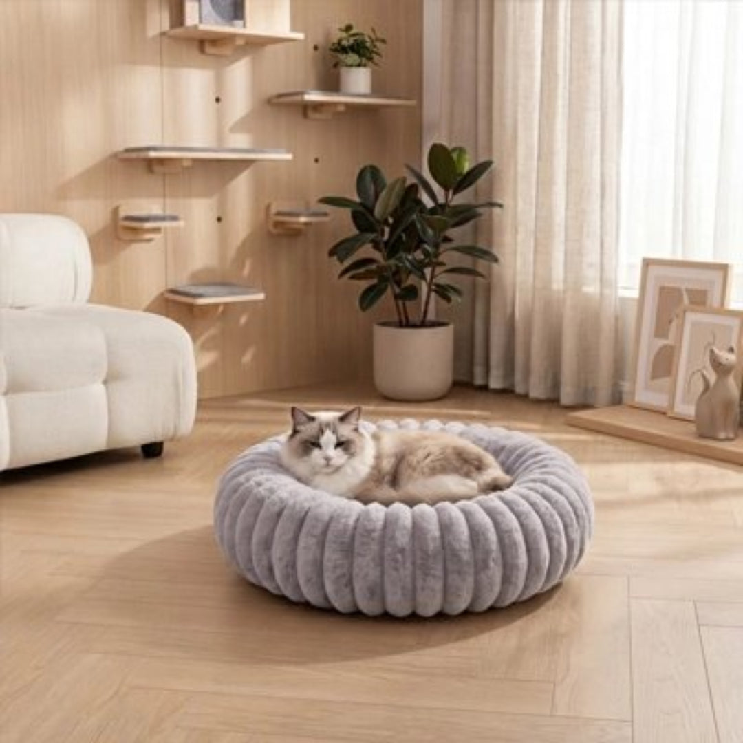 Coussin chat de couleur gris sur plancher en bois