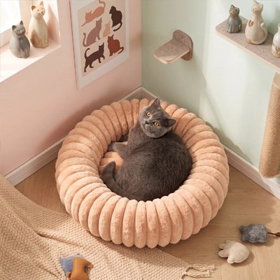 Coussin chat de couleur marron sur plancher en bois