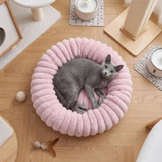 Coussin chat de couleur mauve sur plancher en bois