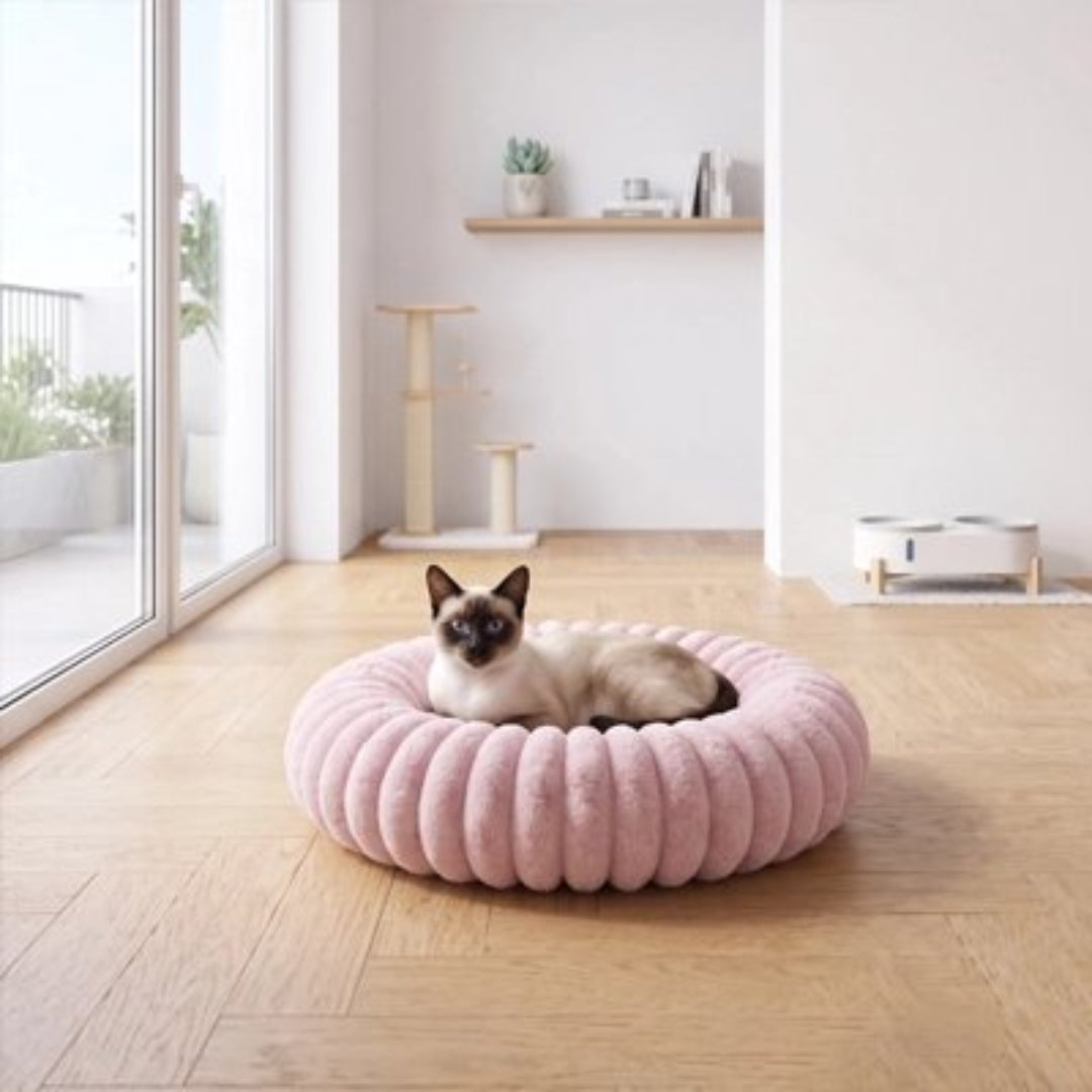 Coussin chat de couleur mauve sur plancher en bois dans un salon