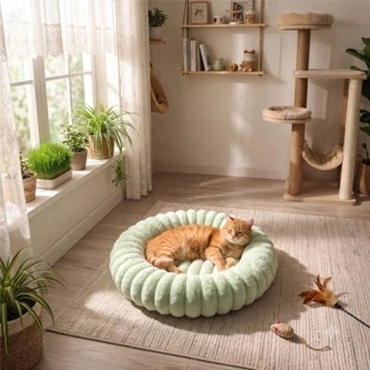 Coussin chat vert avec sur un tapis
