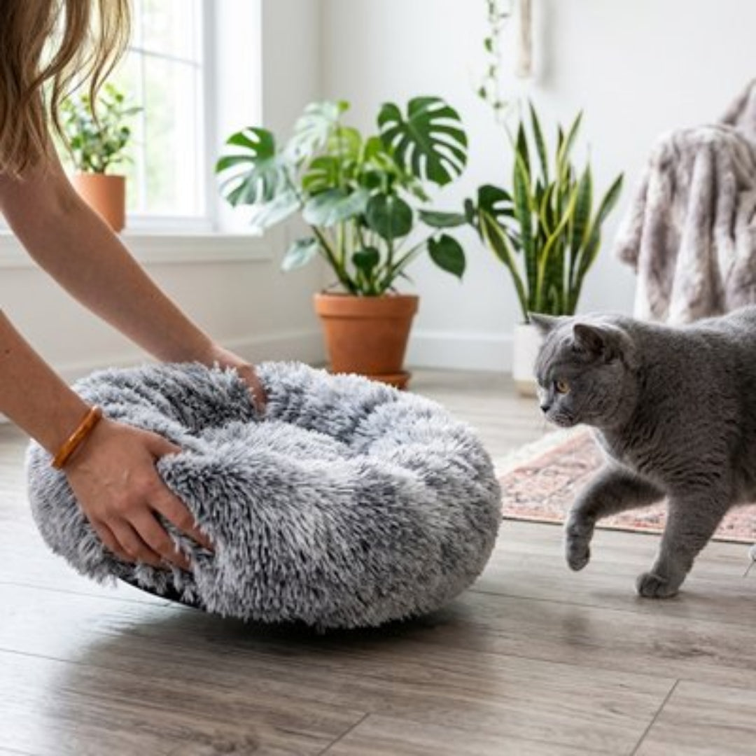 Coussin pour Chat de couleur gris sur plancher