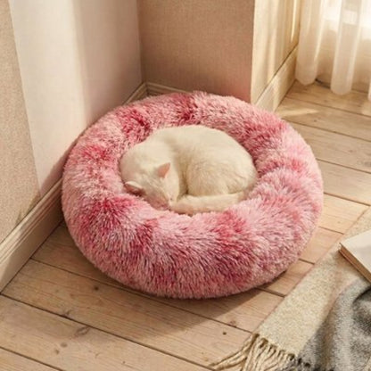 Coussin pour chat de couleur rose