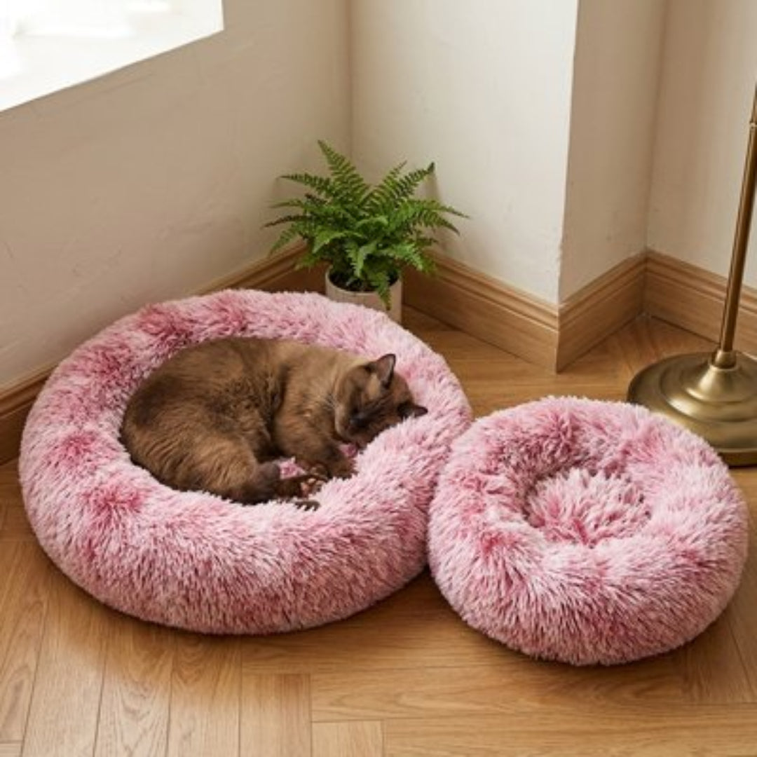 Coussin pour Chat de différentes tailles