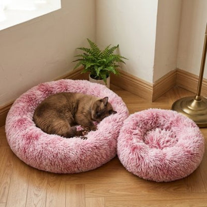 Coussin pour Chat de différentes tailles
