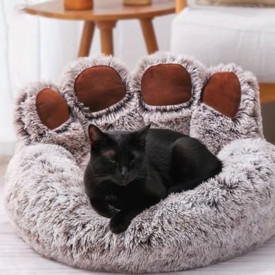 Chat noir repose paisiblement sur un coussin pour chat 