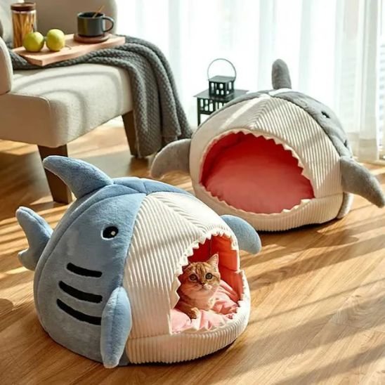 Deux  chat paniers en forme de requin posés sur un plancher de bois ensoleillé