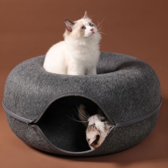Deux chats à poils longs jouant dans un lit chat circulaire en feutre gris