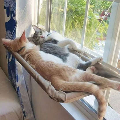 Deux chats allongés sur un hamac chat fenetre