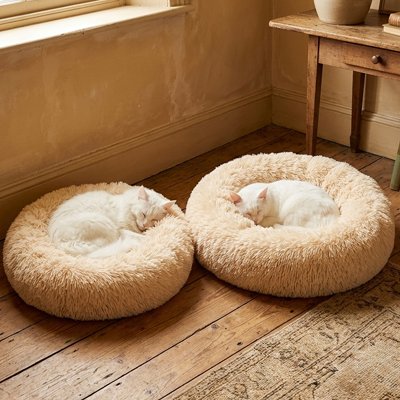 Deux chats au pelage blanc sont roulés en boule, chacun au centre de son propre coussin pour chat
