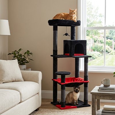 deux chats sont bien installés sur arbre à chat