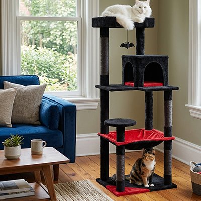 Deux chats bien reposés sur arbre à chat 