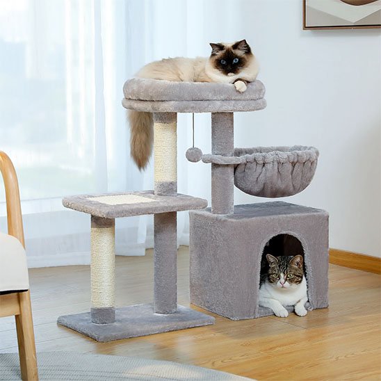Deux chats sont installés sur un petit arbre a chat​ à chat multi-niveaux en peluche gris