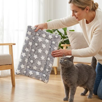 Femme montrant un tapis chat  pour son chat gris à poils courts qui lève la tête vers le tapis