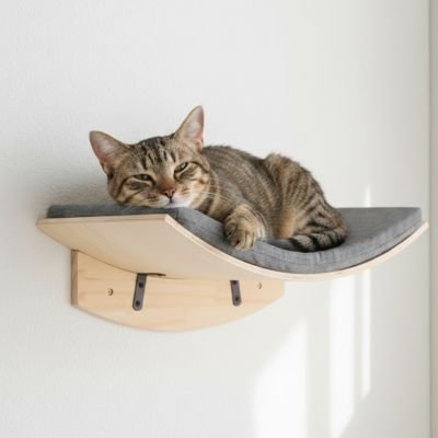 Chat détendu allongé sur un hamac chat