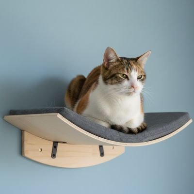 Chat en position de surveillance sur un hamac chat 
