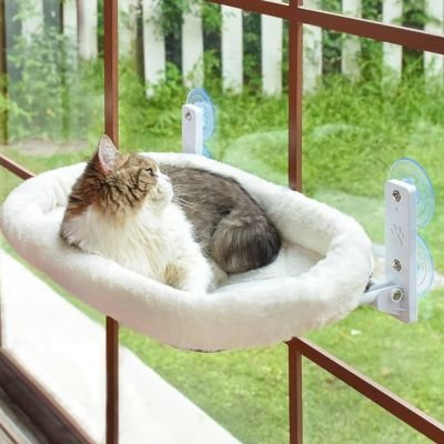Chat sur un hamac pour chat fenetre regardant l'extérieur