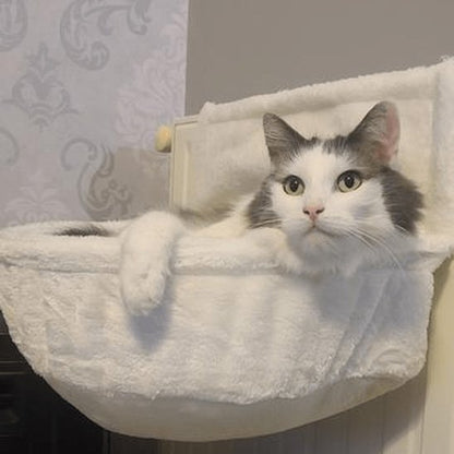 Chat dans un hamac  pour chat radiateur en train de se relaxer.