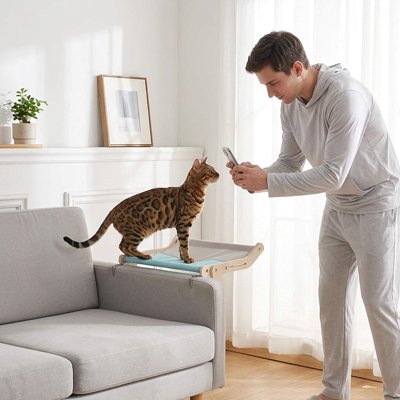 un homme utilise son téléphone intelligent pour prendre photo de son chat en position debout sur un hamac pour chat