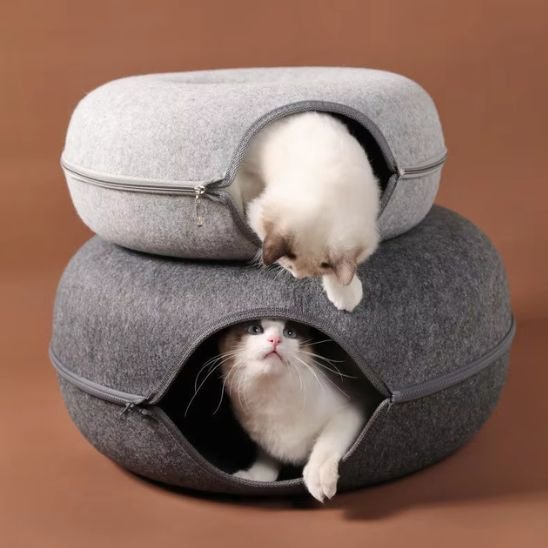lit chat en feutre gris empilés avec deux chats regardant par les ouvertures.