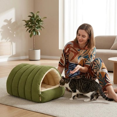 Lit chat sur un tapis dans un salon
