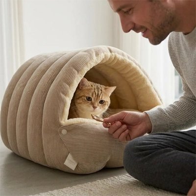 Lit chat sur un tapis