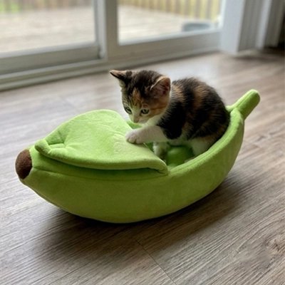 Lit pour chat vert posé sur plancher