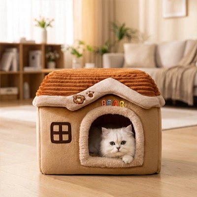 Maison à chat dans un salon 