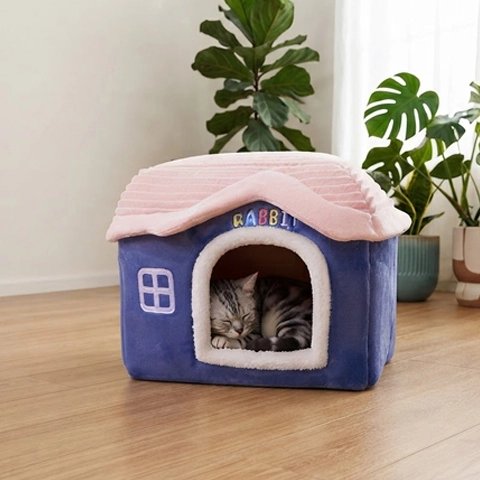 Maison à chat de couleur bleue