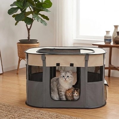 Maison à chat grise dans un salon