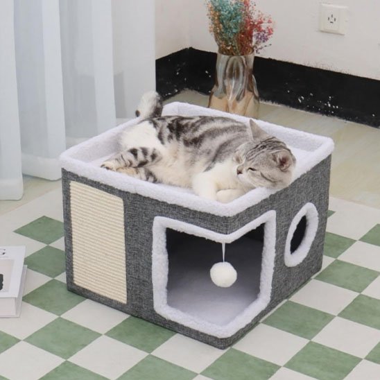 Chat allongé sur une maison pour chat 