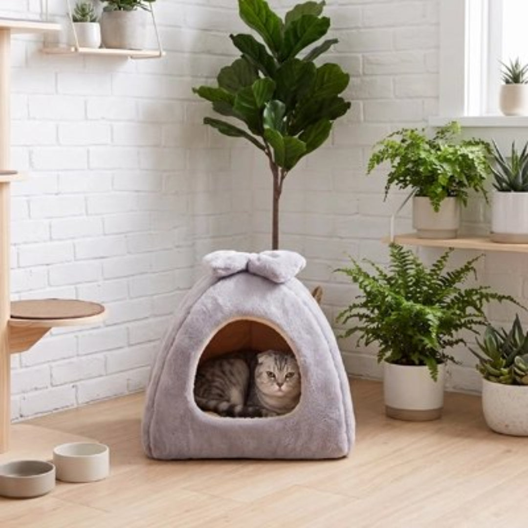 Maison pour chat de couleur grise
