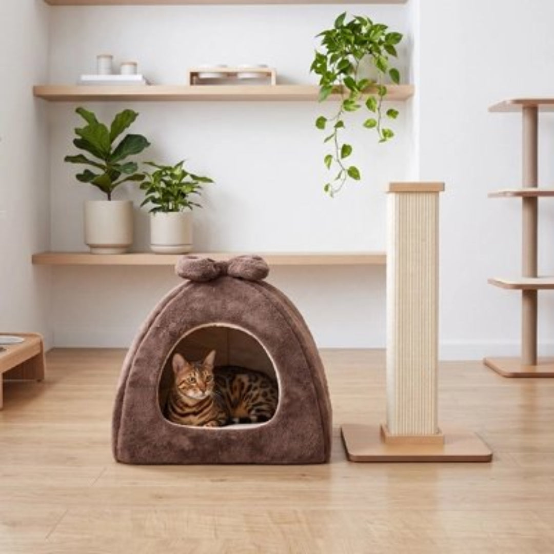 Maison pour chat de couleur marron avec un chat dedans