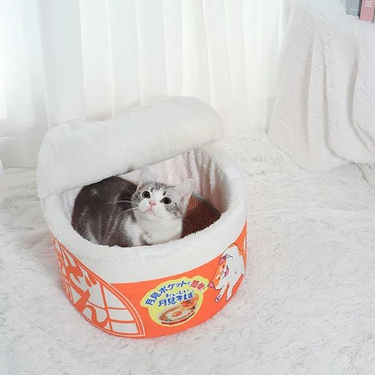 Un chat dans sa maison pour chat original en forme de bol de nouille