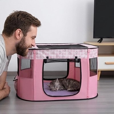 Maison pour les chats de couleur rose dans un salon