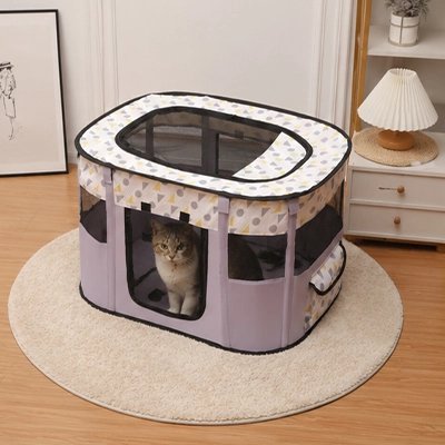 Maison pour les chats de couleur violette sur un tapis