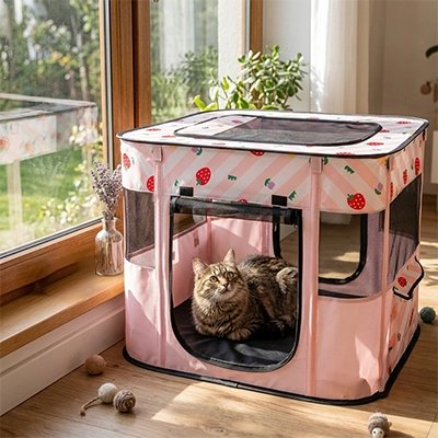 Maisons pour chat roses
