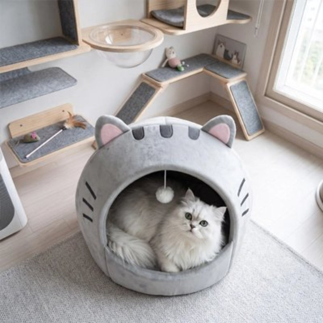 Niche à chat de couleur gris  sur tapis gris